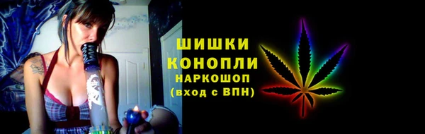 ECSTASY Вяземский