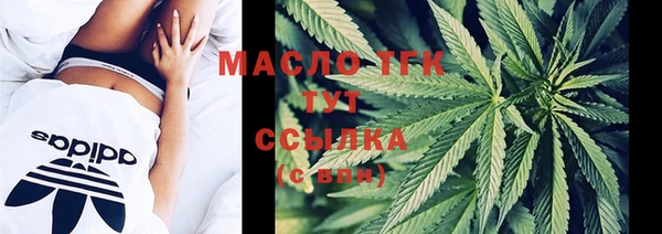 ECSTASY Вяземский