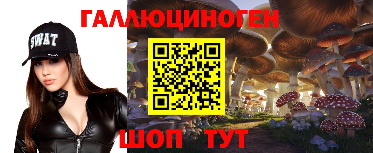 купить  цена  Галлюциногенные грибы ЛСД  Вход с VPN  Псков  Галлюциногенные грибы MAGIC MUSHROOMS 