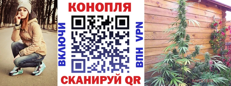купить наркотики сайты  Псков  МАРИХУАНА сатива 