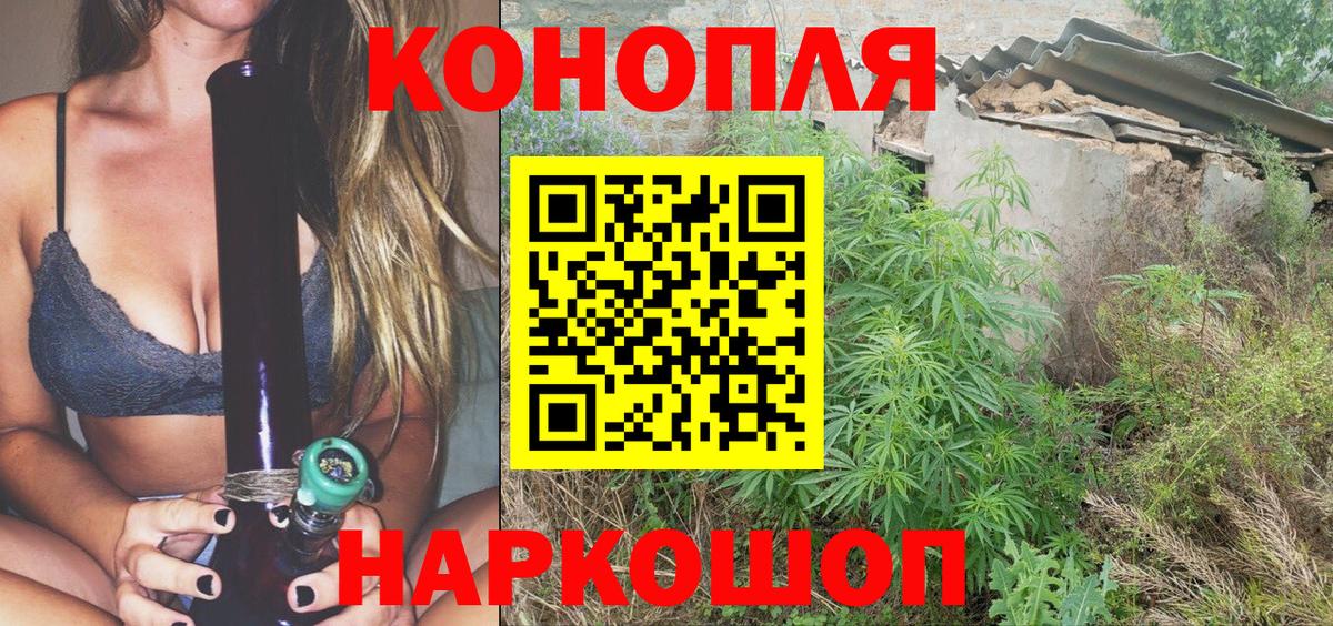 Шишки марихуана марихуана  Вход с VPN  Шишки марихуана план  Псков  Каннабис марихуана 